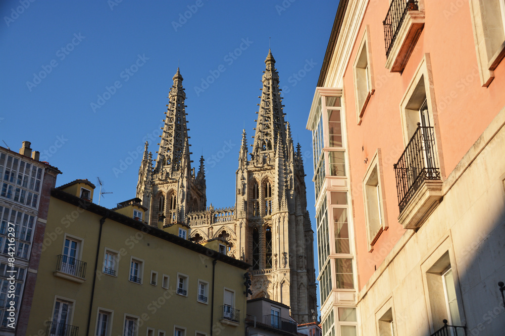 Fototapeta premium catedral de burgos sobre los tejados