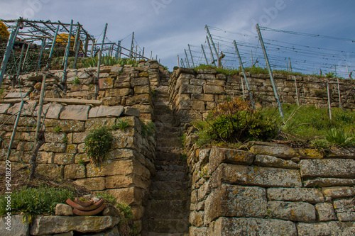 Weinbergtreppe