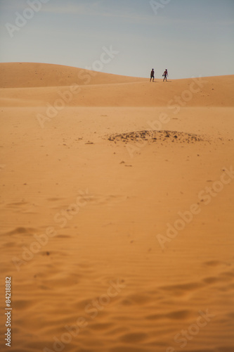 The traveler in the desert