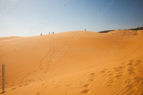 The traveler in the desert