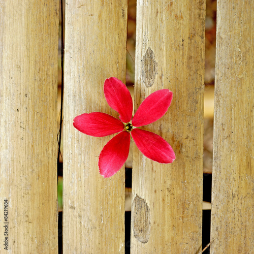 Red flower of Rangoon creeper on bamboo background. photo