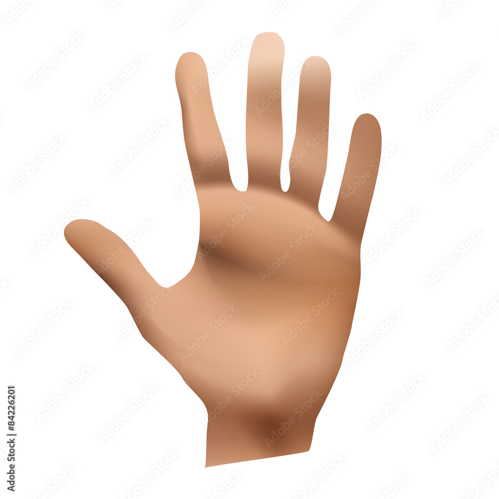 Fototapeta premium Hand