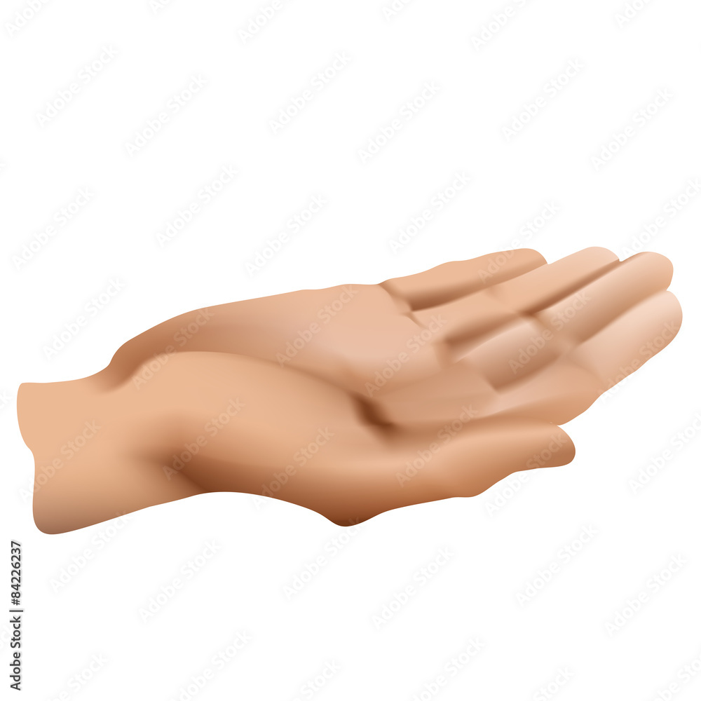 Hand Hand