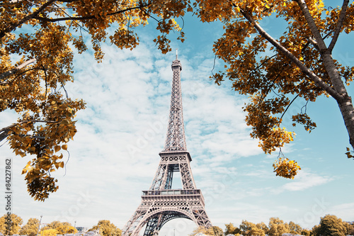 Eiffel tower © nelson garrido silva