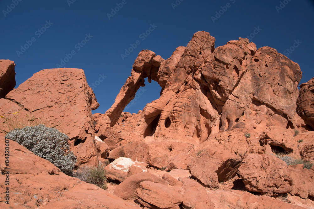 Fototapeta premium Valley of Fire, Nevada, USA