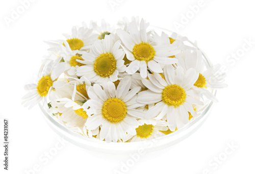 Fototapeta Naklejka Na Ścianę i Meble -  Chamomile flowers