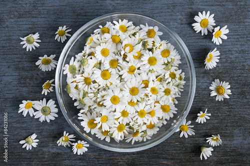 Fototapeta Naklejka Na Ścianę i Meble -  Chamomile flowers in bowl