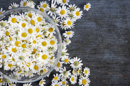 Fototapeta Naklejka Na Ścianę i Meble -  Chamomile flowers in bowl