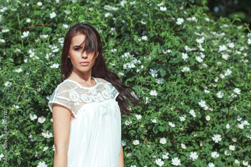 beautiful girl in a white dress on nature beautiful girl in a white dress on nature
