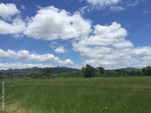 blue sky and green meadow