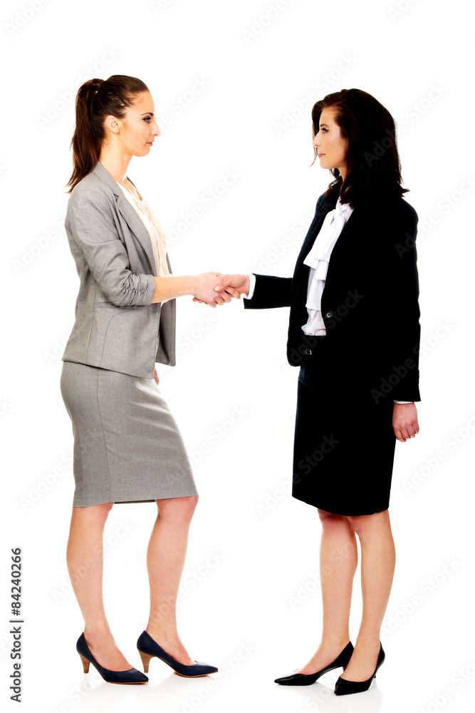Two women in office outfits giving handshake.
