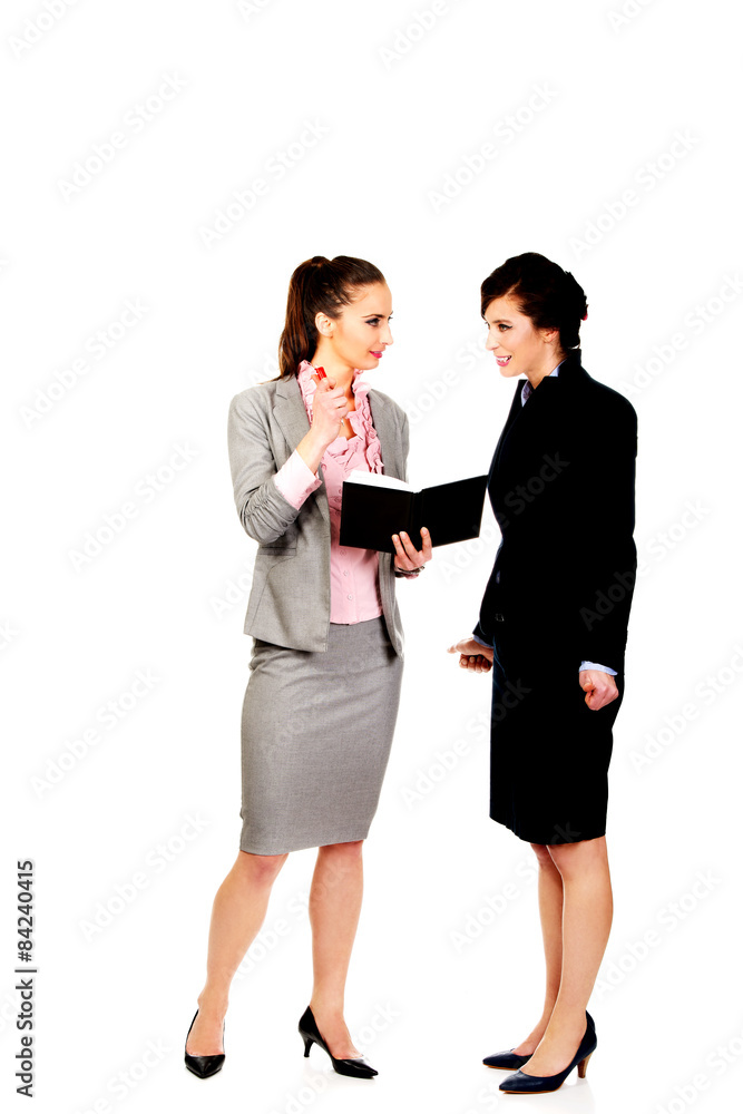 Two businesswomans discussing with eachother. Two businesswomans discussing with eachother.