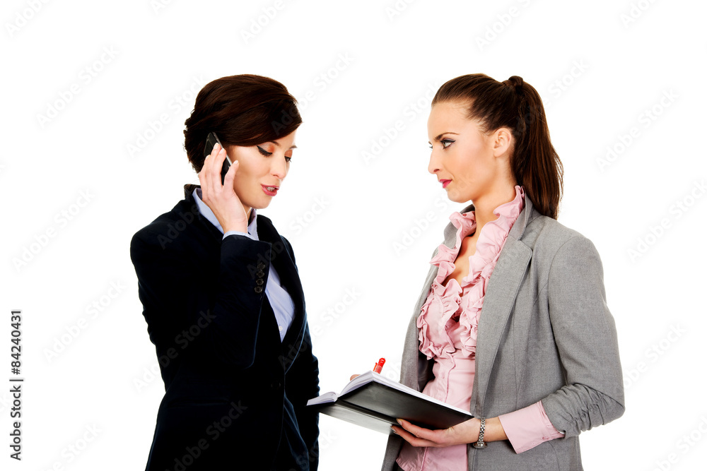 Two businesswomans discussing with eachother. Two businesswomans discussing with eachother.