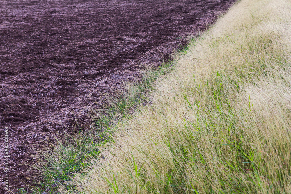 Soil dead grass Soil dead grass