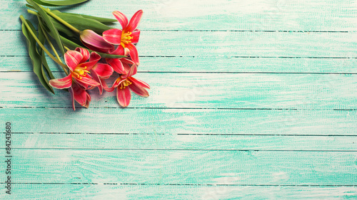 Background with fresh tulips