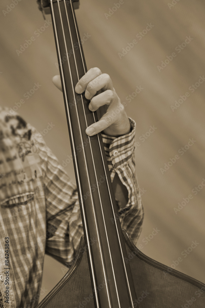 The hand of the musician playing the double bass The hand of the musician playing the double bass