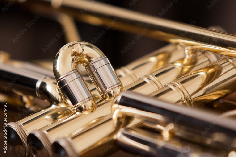 Obraz premium Trumpet segment closeup