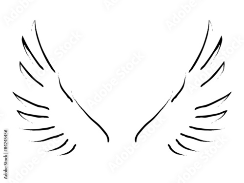 Wings