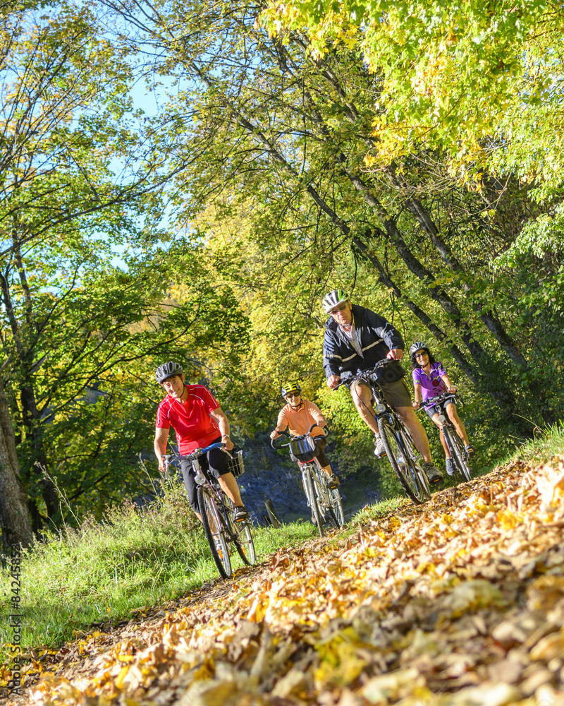 Naklejka premium Senioren radeln in herbstlicher Natur