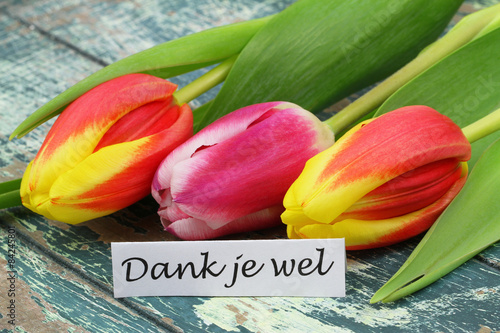 Dank je wel (thank you in Dutch) card with colorful tulips
 photo