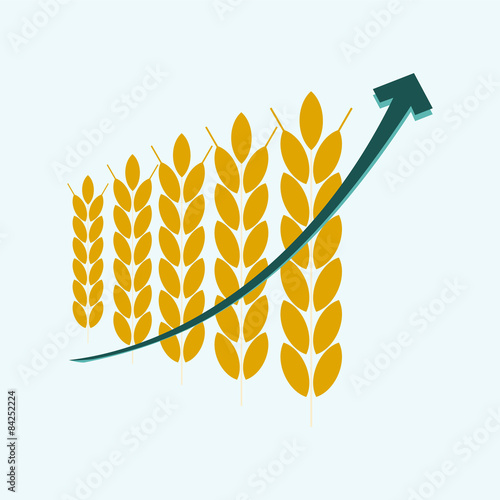 price growth grain, infographic with graph of increase wheat. ag