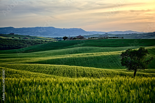 Spring landscape of fields Tuscany