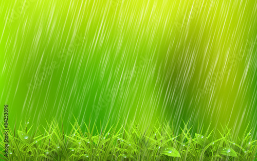 Summer rain drops on the green grass