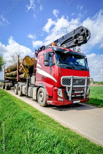 Forstwirtschaft, LKW mit Kranaufbau transportiert Baumstämme photo