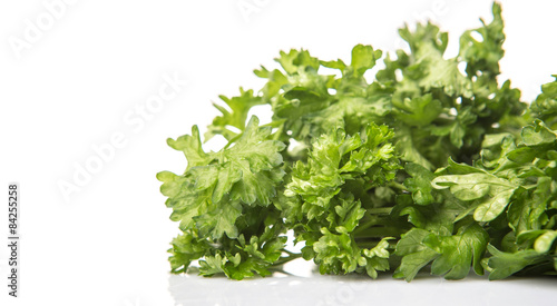 Parsley herb leaves over white background