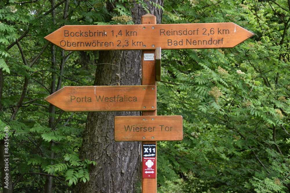 Wanderwege im Bückeberg