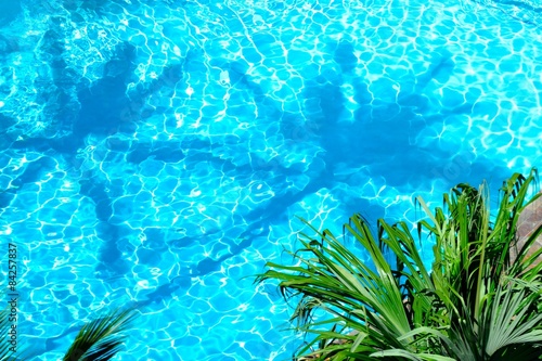 プールの中のヤシの木の影