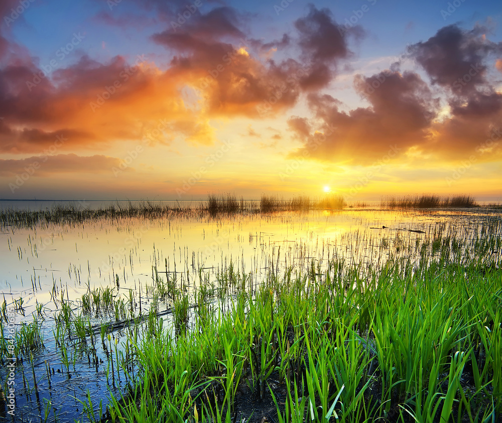 Sunset on lake in summer time. Beautiful natural landscape Sunset on lake in summer time. Beautiful natural landscape