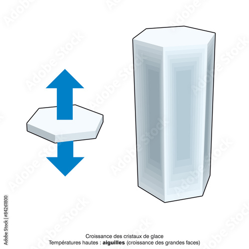 La formation des cristaux de neige
