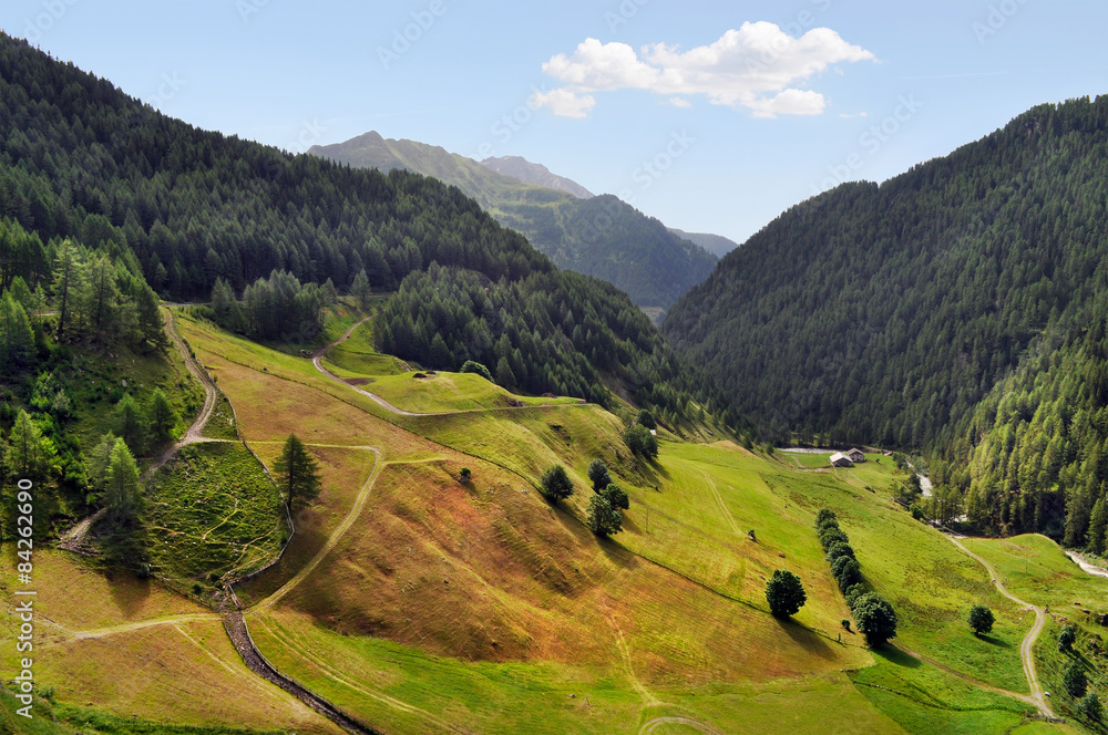 The alpine valley Oetztal in summer. Tyrol, Austria