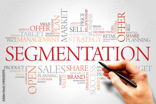 Segmentation word cloud, business concept