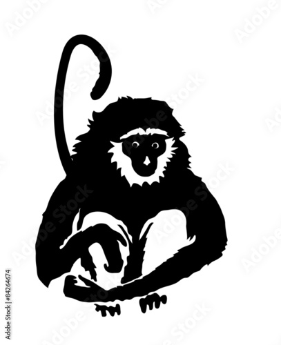 Monkey. Hand drawn silhouette of animal on white background