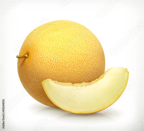 Melon, vector icon
