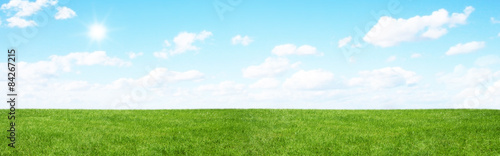 Green field and blue sky