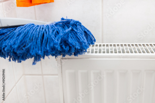 cleaning - Staubwedel,  reinigen, putzen