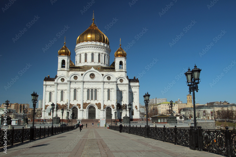 The Cathedral of Christ the Saviour 