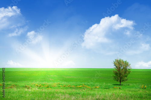Green grass field and blue sky