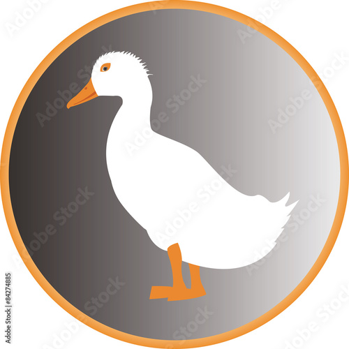duck in orange circle