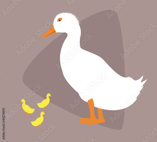 duck with ducklings on brown