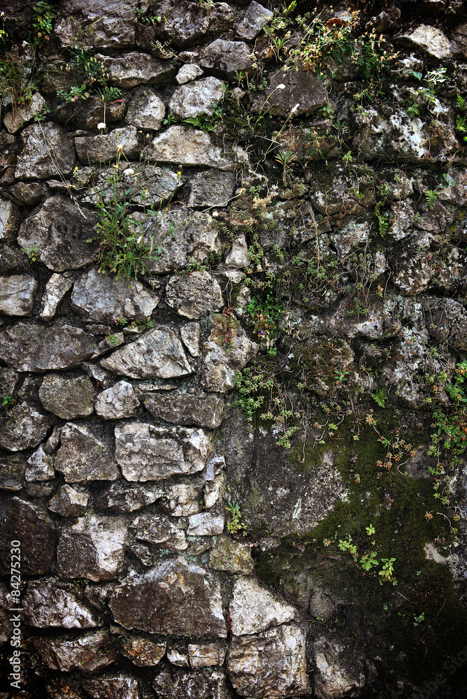 Obraz premium stone wall