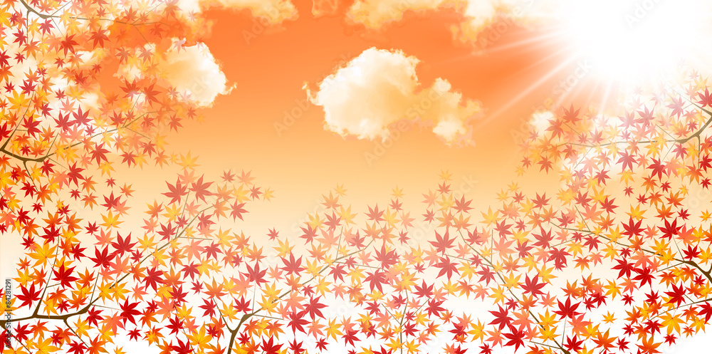 もみじ 紅葉 背景 もみじ 紅葉 背景