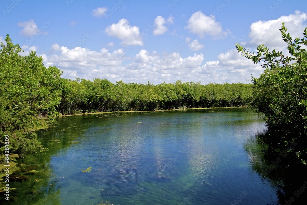 Fototapeta premium Mayakoba Canals and waterways