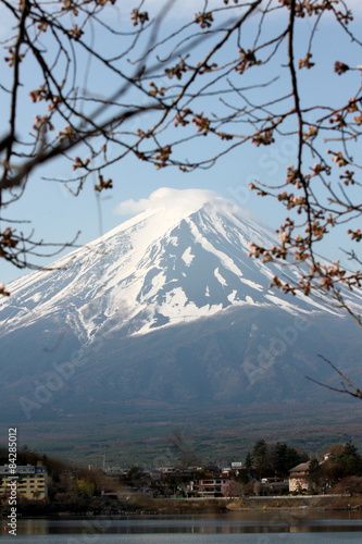 Mount Fuji and sakura not blossom.