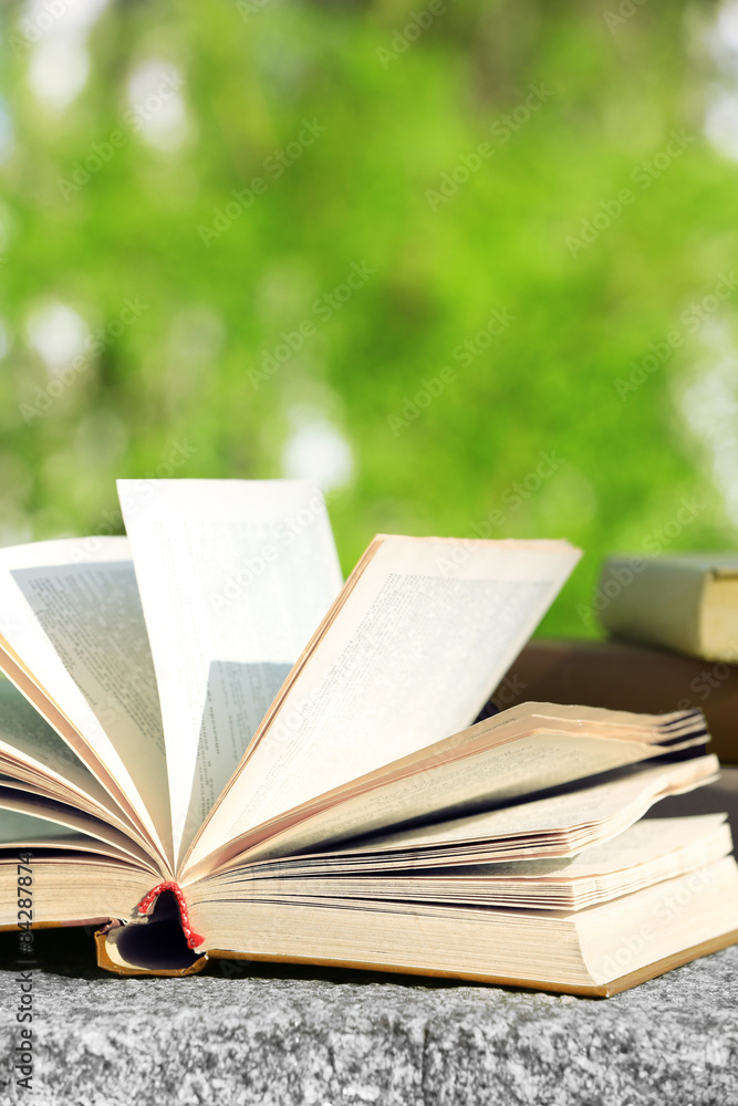 Stack of books outdoors, on blurred background Stack of books outdoors, on blurred background