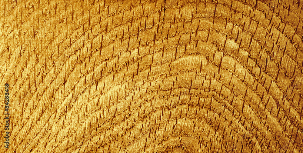 Fototapeta premium old weathered texture