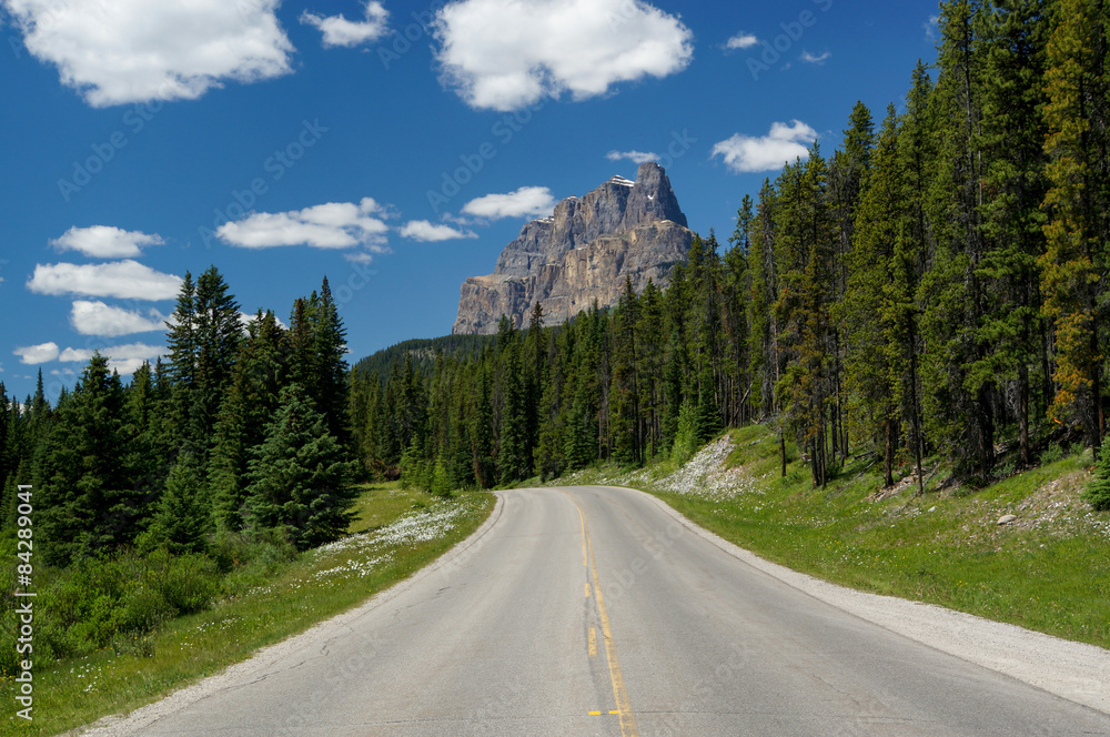 Fototapeta premium Castle Mountain in Banff National Park
